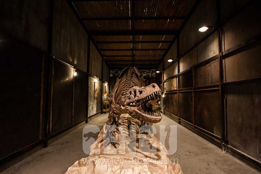 The Collection of The World's Best Dinosaur Museums