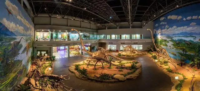 Top Five Dinosaur Museums in the World!