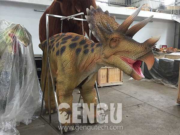 Triceratops Costume(DC-35)