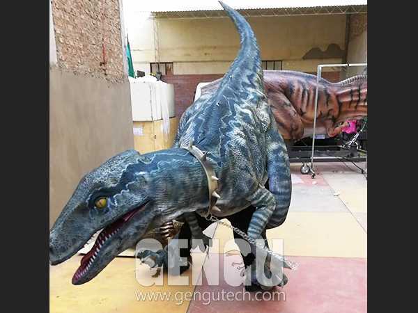 Velociraptor Costume(DC-52)