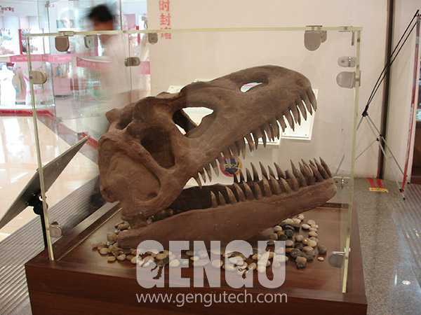 T-rex Skull(FP-194)