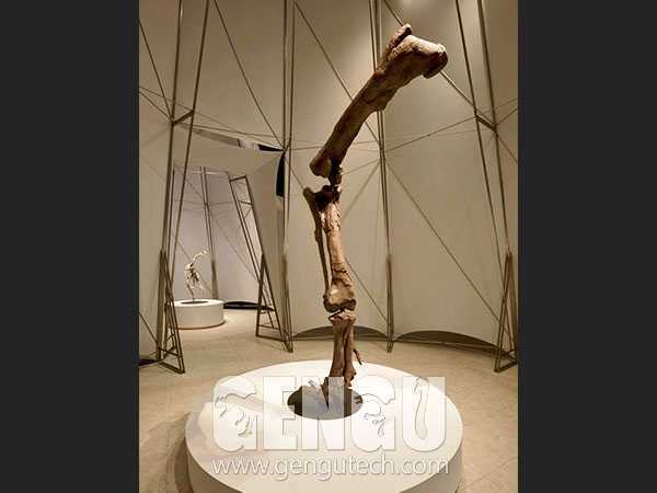 Dinosaur Leg Skeleton(FP-200)