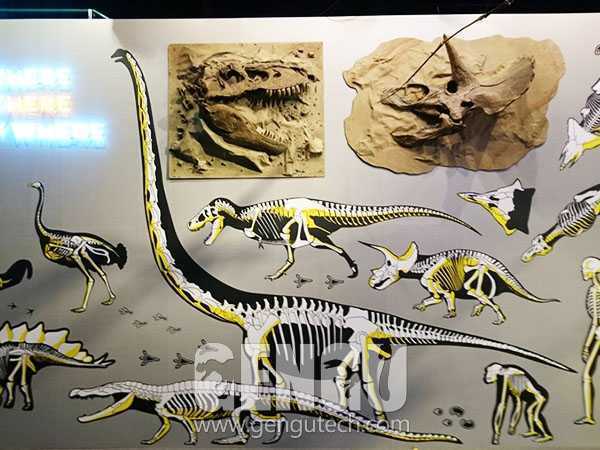 Dinosaur Head Skeleton(FP-262)