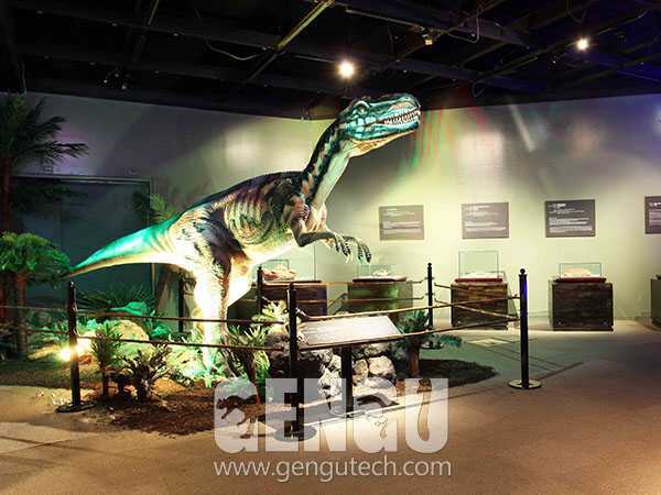 Metriacanthosaurus(AD-642)