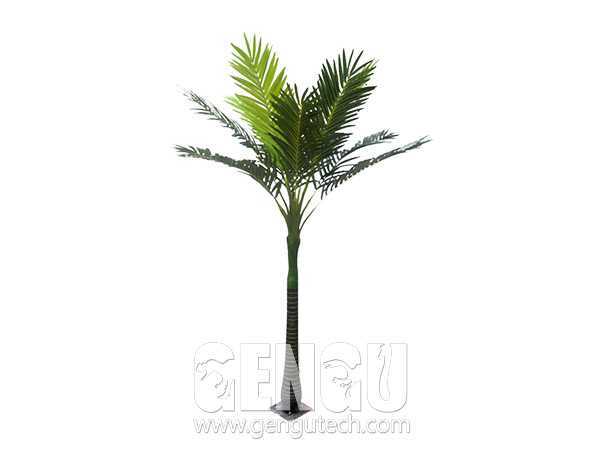 棕榈树1Palm