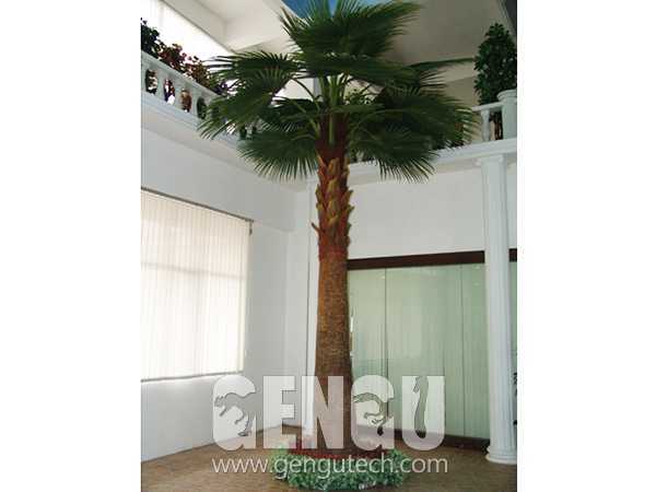 大棕榈树palm