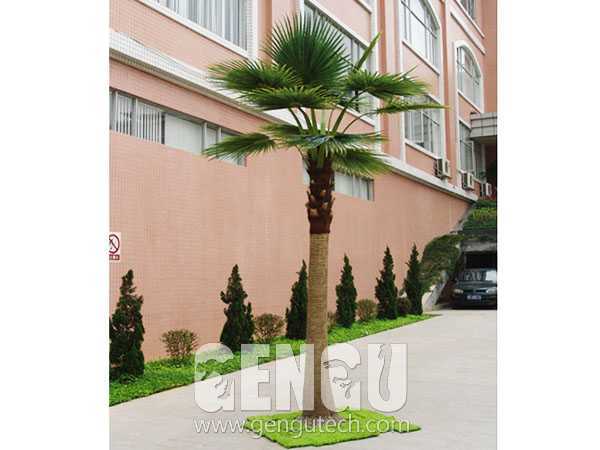 Palm tree(AP-943)