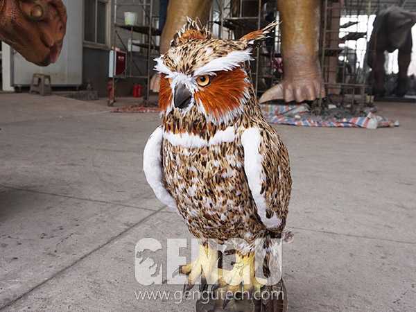 Owl(AA-1255)