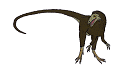 Chindesaurus